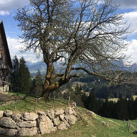 Fewo In Tiefenberg/ Allgaeu Ofterschwang Esterno foto