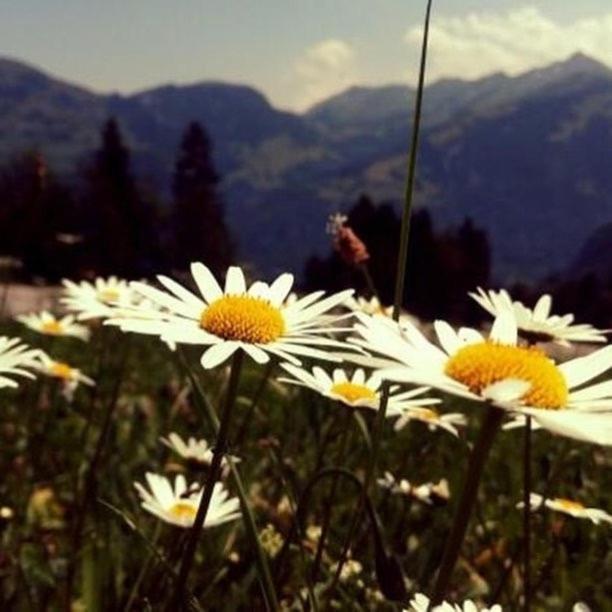 Fewo In Tiefenberg/ Allgaeu Ofterschwang Esterno foto